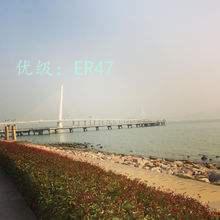 ̬